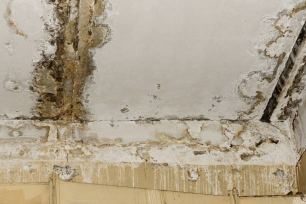Trusted Ione, CA Water damage restoration Experts